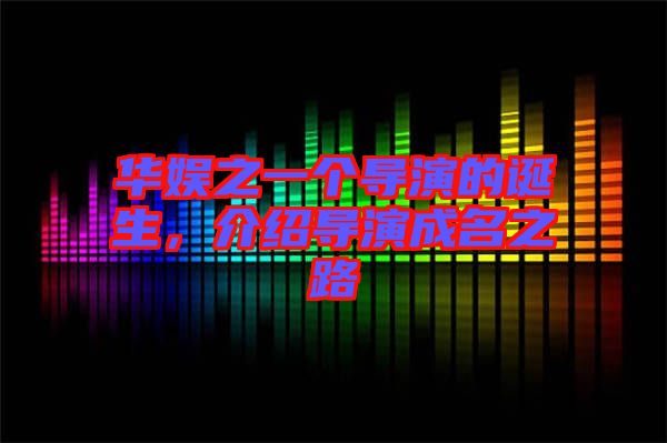 華娛之一個(gè)導(dǎo)演的誕生，介紹導(dǎo)演成名之路