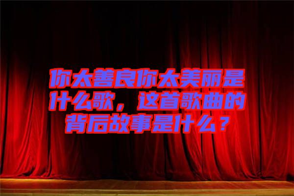 你太善良你太美麗是什么歌，這首歌曲的背后故事是什么？