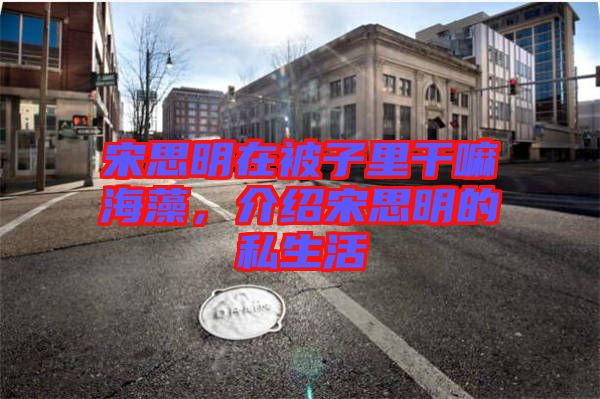 宋思明在被子里干嘛海藻，介紹宋思明的私生活