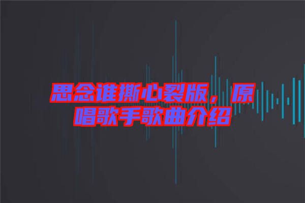 思念誰撕心裂版，原唱歌手歌曲介紹