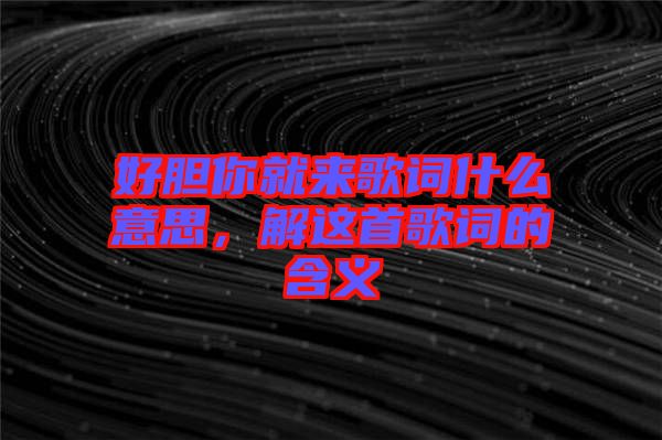 好膽你就來歌詞什么意思，解這首歌詞的含義