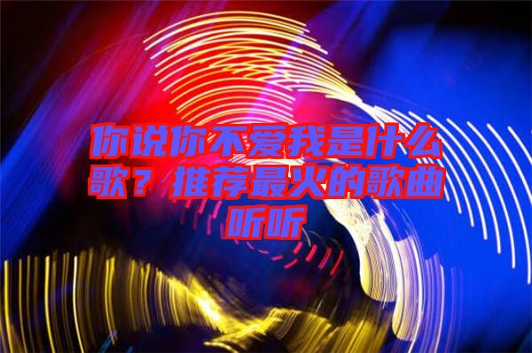 你說你不愛我是什么歌？推薦最火的歌曲聽聽