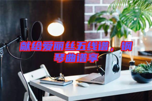 獻(xiàn)給愛(ài)麗絲五線譜，鋼琴曲譜享