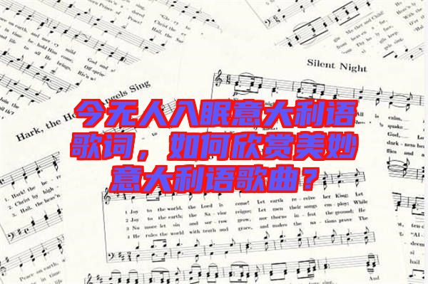 今無人入眠意大利語歌詞，如何欣賞美妙意大利語歌曲？