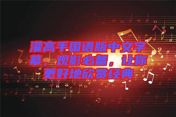 灌高手國語版中文字幕，觀影必備，讓你更好地欣賞經(jīng)典