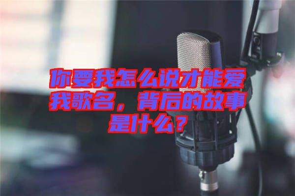 你要我怎么說才能愛我歌名，背后的故事是什么？
