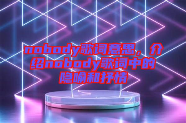 nobody歌詞意思，介紹nobody歌詞中的隱喻和抒情