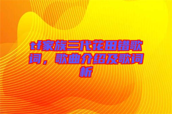 tf家族三代花田錯(cuò)歌詞，歌曲介紹及歌詞析
