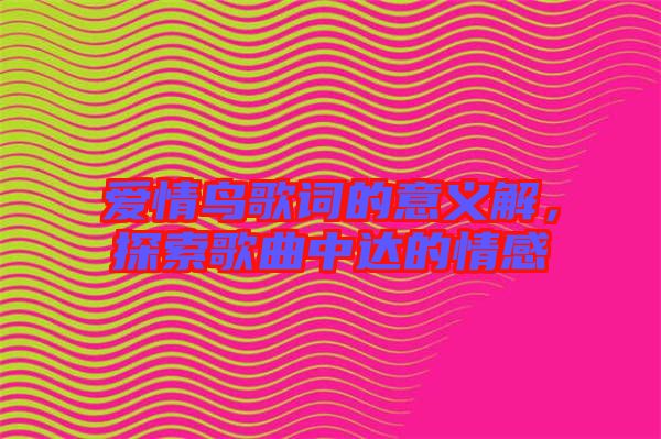 愛情鳥歌詞的意義解，探索歌曲中達的情感