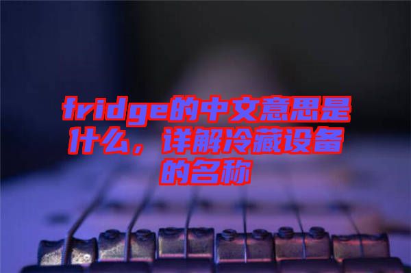 fridge的中文意思是什么，詳解冷藏設(shè)備的名稱