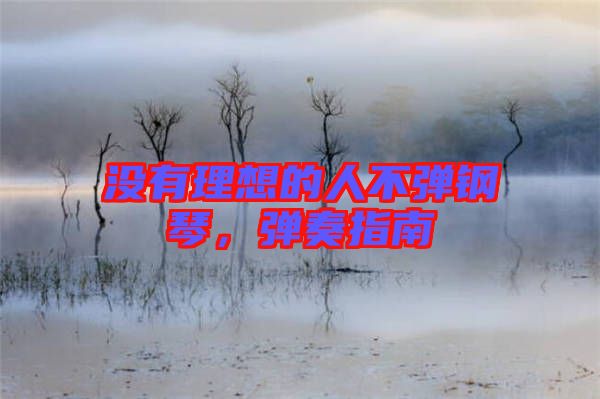沒有理想的人不彈鋼琴，彈奏指南