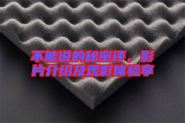 不能說的秘密評，影片介紹及觀影體驗享