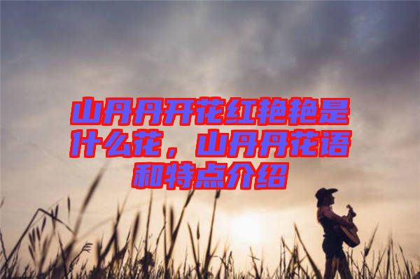 山丹丹開花紅艷艷是什么花，山丹丹花語和特點介紹