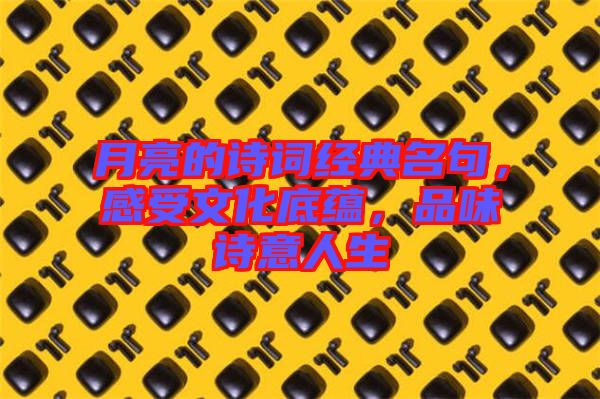 月亮的詩詞經(jīng)典名句，感受文化底蘊，品味詩意人生