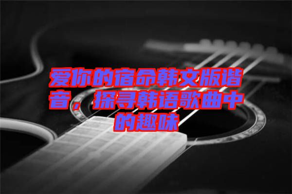 愛(ài)你的宿命韓文版諧音，探尋韓語(yǔ)歌曲中的趣味