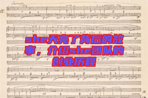 she天亮了背后的故事，介紹she團(tuán)隊(duì)的創(chuàng)業(yè)歷程
