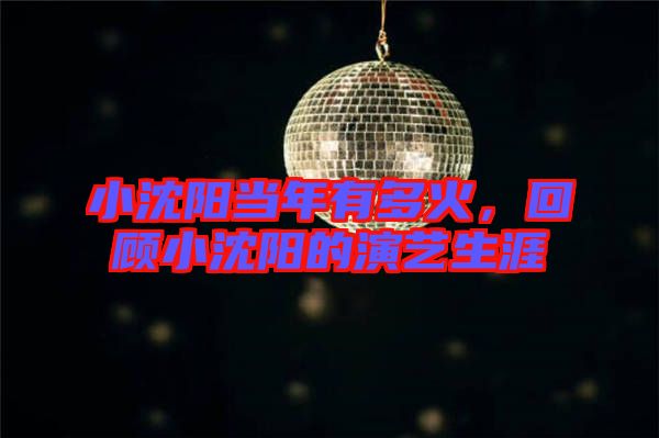 小沈陽(yáng)當(dāng)年有多火，回顧小沈陽(yáng)的演藝生涯