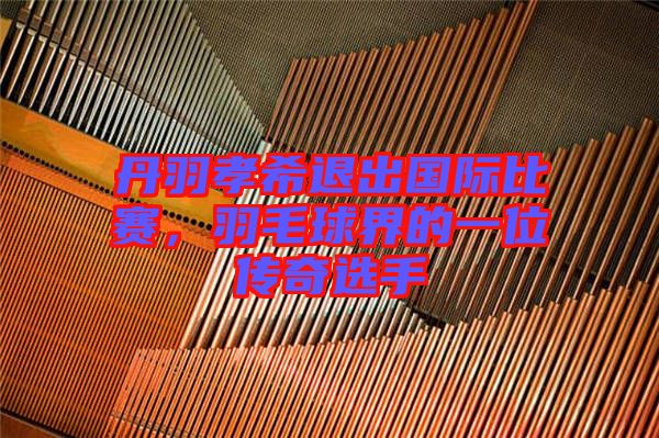 丹羽孝希退出國際比賽，羽毛球界的一位傳奇選手