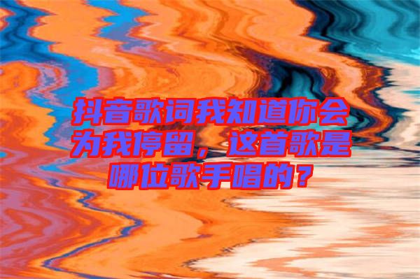 抖音歌詞我知道你會為我停留，這首歌是哪位歌手唱的？
