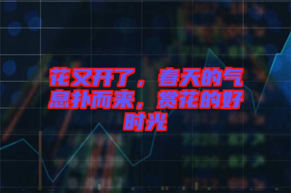 花又開(kāi)了，春天的氣息撲而來(lái)，賞花的好時(shí)光