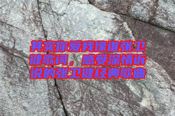 其實(shí)你愛我像誰張衛(wèi)健歌詞，感受深情訴說的張衛(wèi)健經(jīng)典歌曲