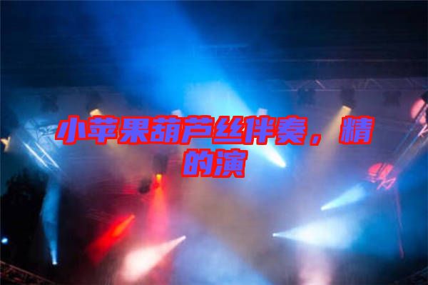小蘋(píng)果葫蘆絲伴奏，精的演