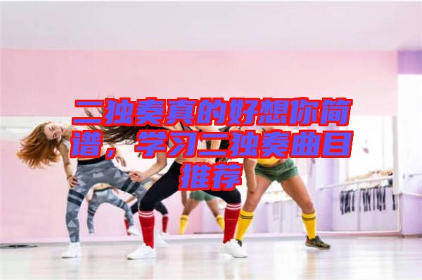 二獨奏真的好想你簡譜，學習二獨奏曲目推薦