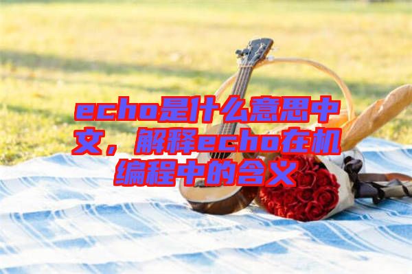 echo是什么意思中文，解釋echo在機編程中的含義