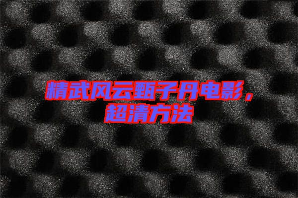 精武風(fēng)云甄子丹電影，超清方法