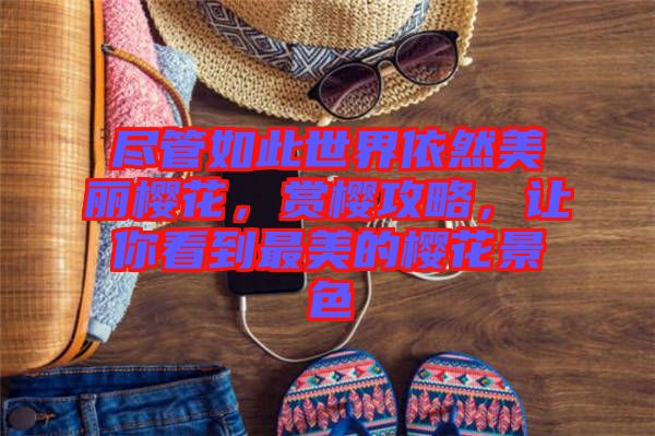 盡管如此世界依然美麗櫻花，賞櫻攻略，讓你看到最美的櫻花景色