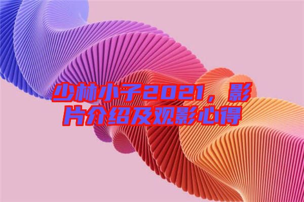 少林小子2021，影片介紹及觀影心得
