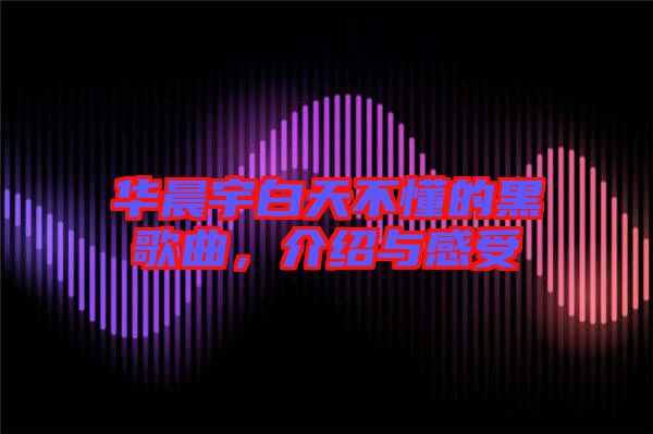 華晨宇白天不懂的黑歌曲，介紹與感受