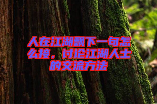 人在江湖飄下一句怎么接，討論江湖人士的交流方法