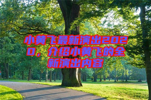 小黃飛最新演出2020，介紹小黃飛的全新演出內(nèi)容