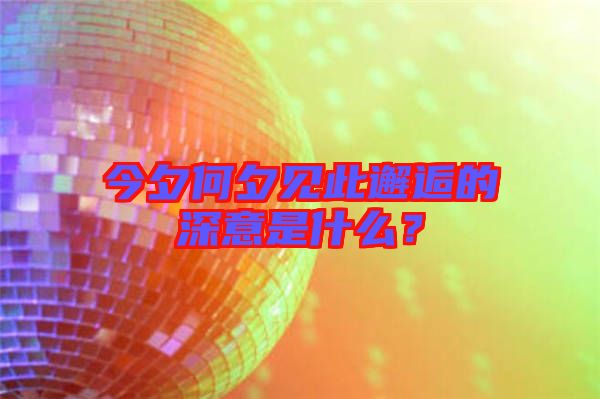 今夕何夕見此邂逅的深意是什么？