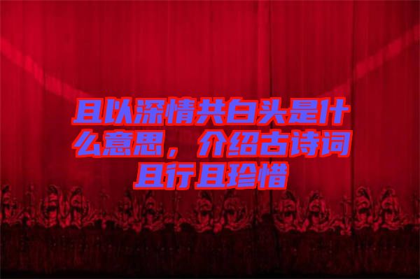 且以深情共白頭是什么意思，介紹古詩詞且行且珍惜