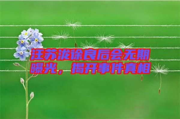 汪蘇瀧徐良后會(huì)無(wú)期曝光，揭開(kāi)事件真相