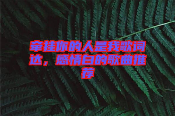 牽掛你的人是我歌詞達(dá)，感情白的歌曲推薦