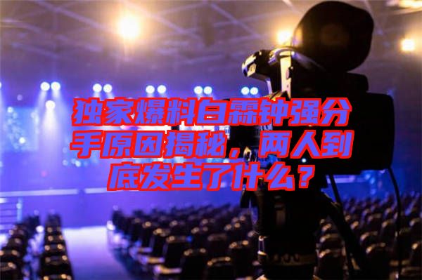 獨家爆料白霖鐘強分手原因揭秘，兩人到底發(fā)生了什么？