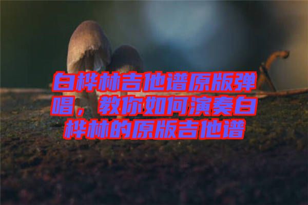 白樺林吉他譜原版彈唱，教你如何演奏白樺林的原版吉他譜