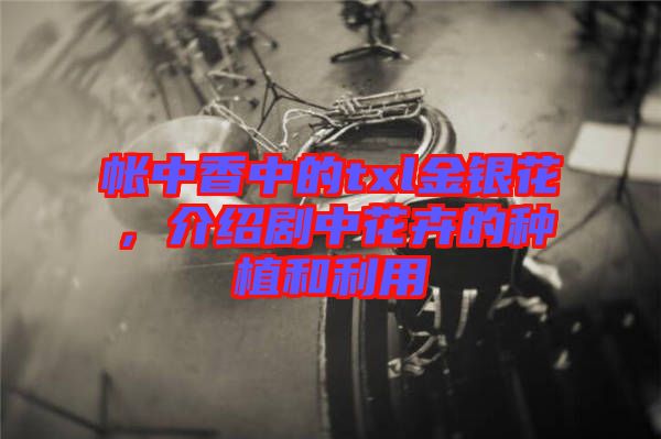 帳中香中的txl金銀花，介紹劇中花卉的種植和利用
