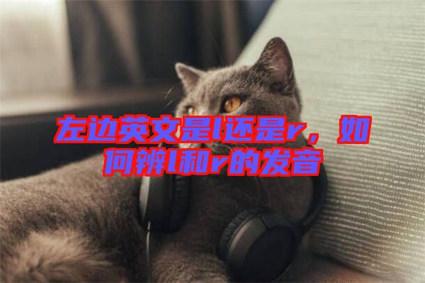 左邊英文是l還是r，如何辨l和r的發(fā)音