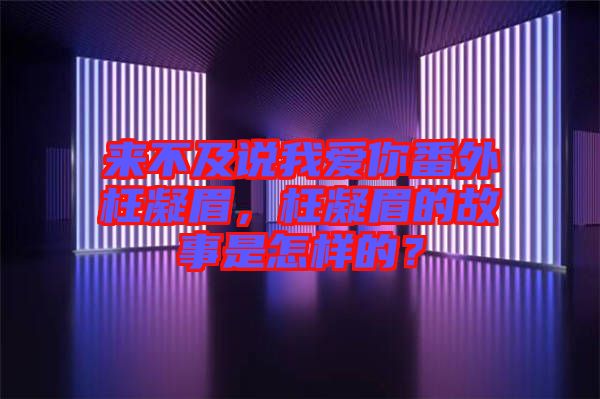 來不及說我愛你番外枉凝眉，枉凝眉的故事是怎樣的？