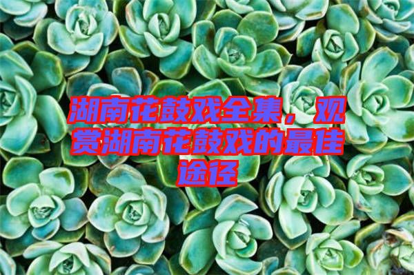 湖南花鼓戲全集，觀賞湖南花鼓戲的最佳途徑