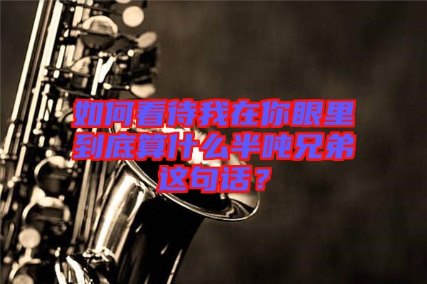 如何看待我在你眼里到底算什么半噸兄弟這句話？