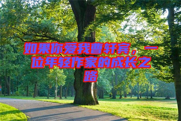 如果你愛我曹軒賓，一位年輕作家的成長之路