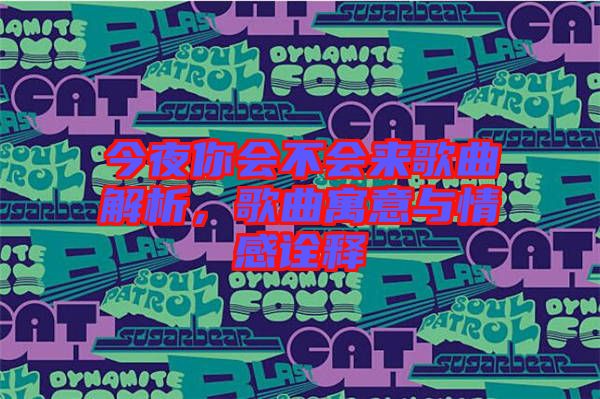 今夜你會(huì)不會(huì)來歌曲解析，歌曲寓意與情感詮釋
