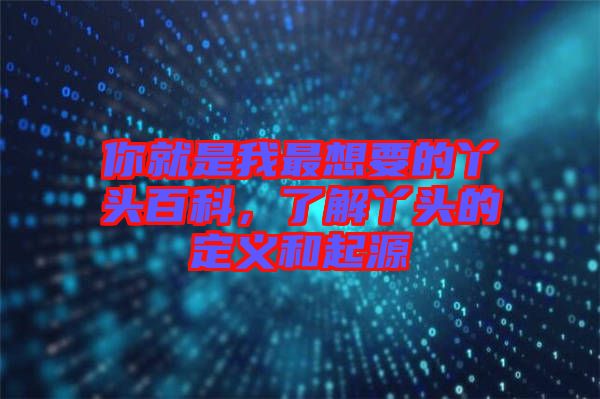 你就是我最想要的丫頭百科，了解丫頭的定義和起源