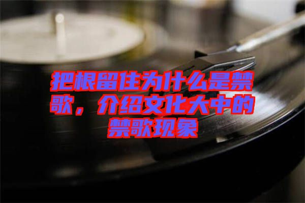 把根留住為什么是禁歌，介紹文化大中的禁歌現(xiàn)象