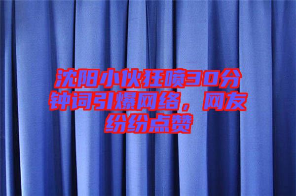 沈陽小伙狂噴30分鐘詞引爆網(wǎng)絡(luò)，網(wǎng)友紛紛點(diǎn)贊